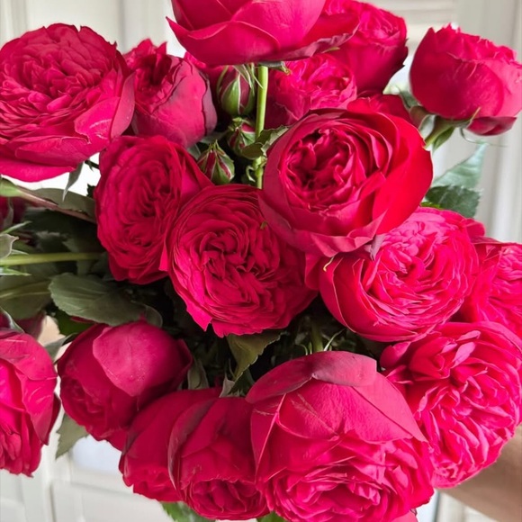 CHANEL Other - My favorite flowers and 2 fur kids